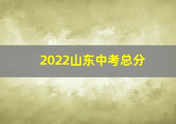 2022山东中考总分