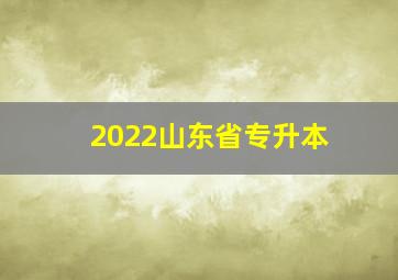 2022山东省专升本