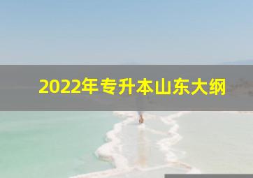 2022年专升本山东大纲