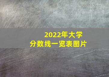 2022年大学分数线一览表图片