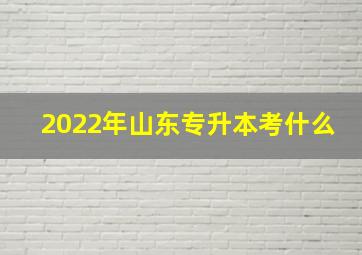 2022年山东专升本考什么