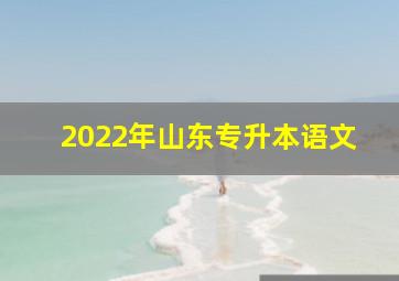 2022年山东专升本语文