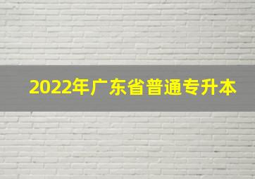 2022年广东省普通专升本