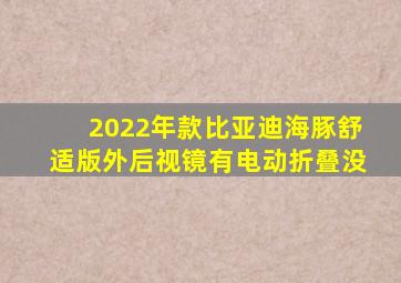 2022年款比亚迪海豚舒适版外后视镜有电动折叠没