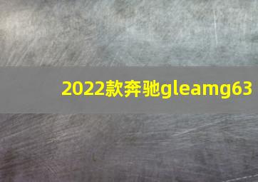 2022款奔驰gleamg63