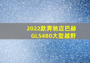 2022款奔驰迈巴赫GLS480大型越野