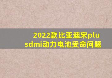 2022款比亚迪宋plusdmi动力电池受命问题