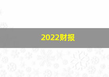 2022财报