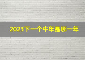 2023下一个牛年是哪一年