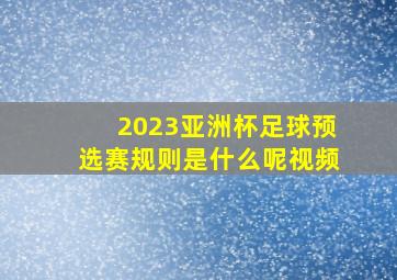 2023亚洲杯足球预选赛规则是什么呢视频