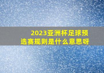 2023亚洲杯足球预选赛规则是什么意思呀