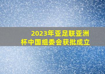 2023年亚足联亚洲杯中国组委会获批成立