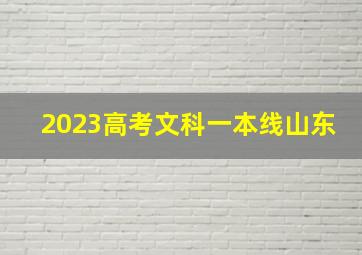 2023高考文科一本线山东