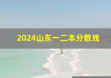 2024山东一二本分数线