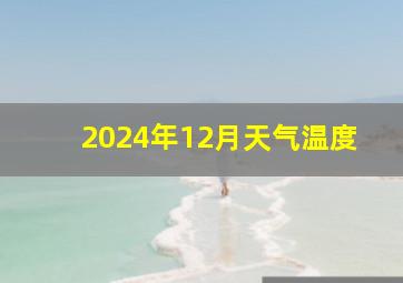 2024年12月天气温度