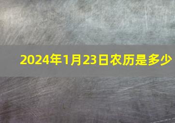 2024年1月23日农历是多少