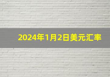 2024年1月2日美元汇率