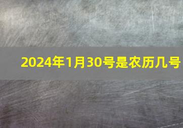 2024年1月30号是农历几号