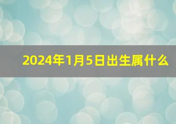 2024年1月5日出生属什么