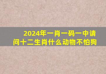 2024年一肖一码一中请问十二生肖什么动物不怕狗