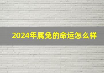 2024年属兔的命运怎么样