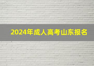 2024年成人高考山东报名