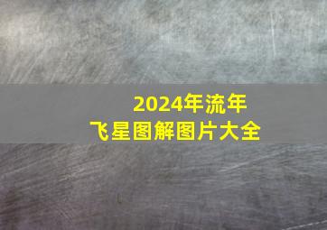 2024年流年飞星图解图片大全