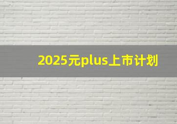 2025元plus上市计划