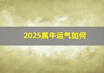 2025属牛运气如何