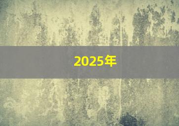 2025年