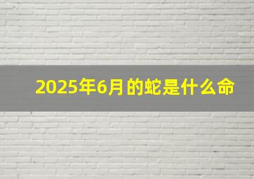 2025年6月的蛇是什么命