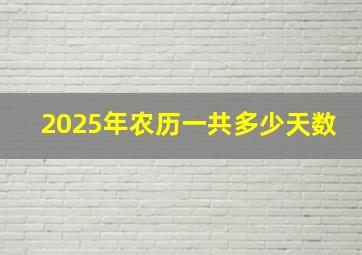 2025年农历一共多少天数