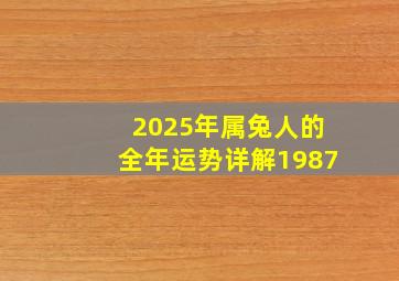 2025年属兔人的全年运势详解1987