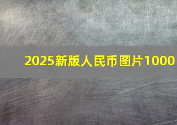 2025新版人民币图片1000