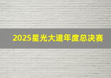 2025星光大道年度总决赛