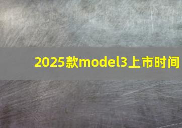 2025款model3上市时间