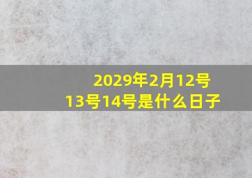 2029年2月12号13号14号是什么日子