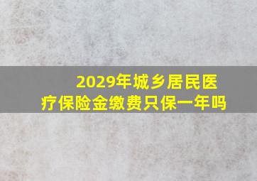 2029年城乡居民医疗保险金缴费只保一年吗