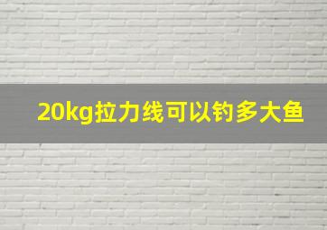 20kg拉力线可以钓多大鱼