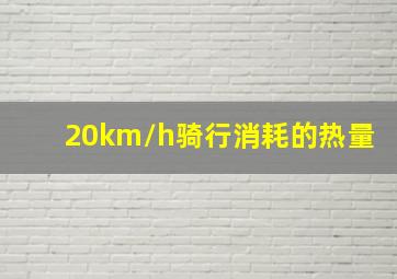 20km/h骑行消耗的热量