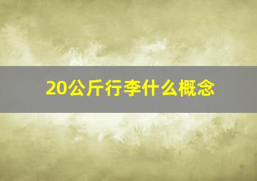 20公斤行李什么概念