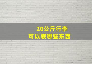 20公斤行李可以装哪些东西