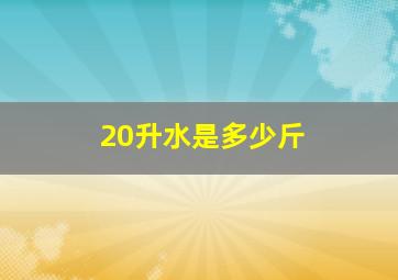 20升水是多少斤