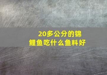 20多公分的锦鲤鱼吃什么鱼料好