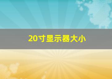 20寸显示器大小