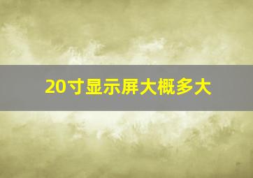 20寸显示屏大概多大