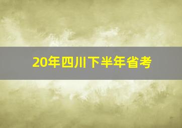 20年四川下半年省考