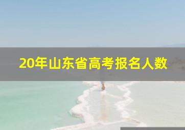 20年山东省高考报名人数