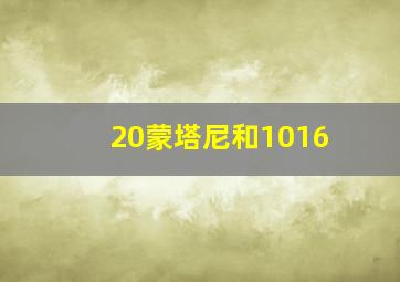 20蒙塔尼和1016