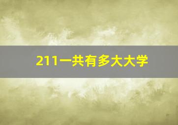 211一共有多大大学